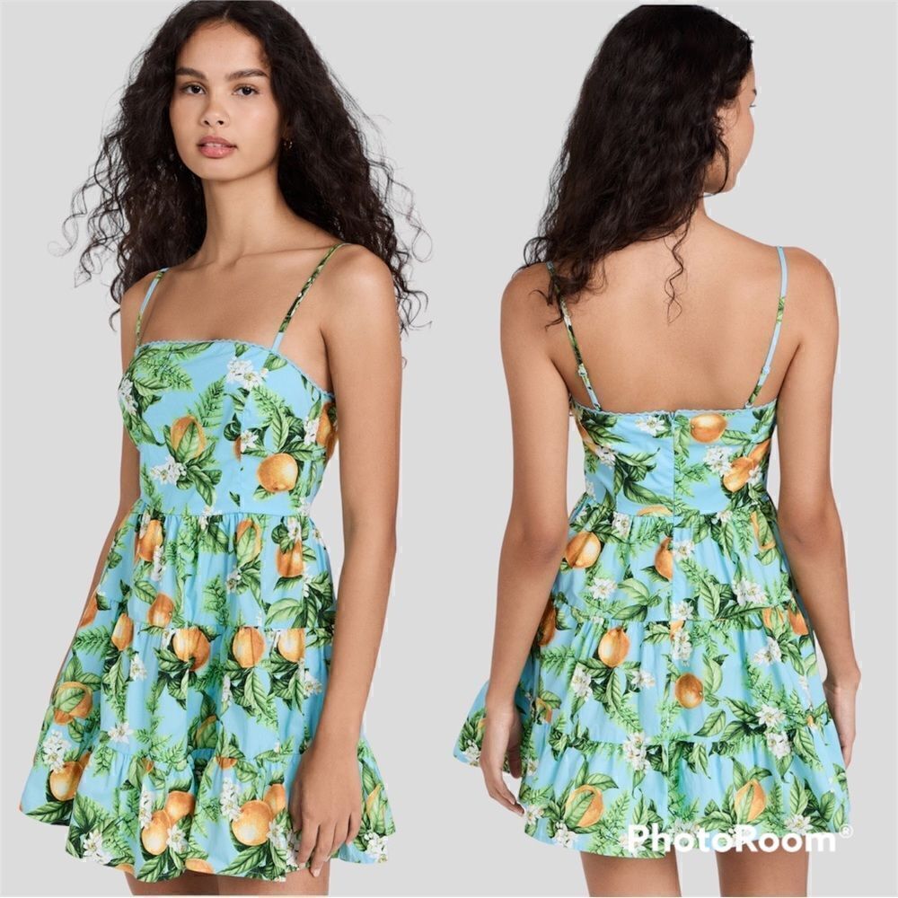 NWT BB Dakota Summer orchard dress 10 